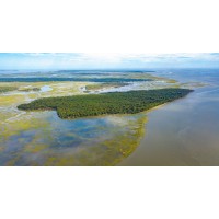 Green Private Island USA