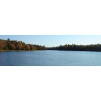 Gillfillan Lake S Properties Private Island Nova Scotia