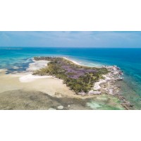 Hawk’s Nest Cay Private Island Bahamas