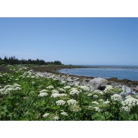 Mutton Private Island Nova Scotia